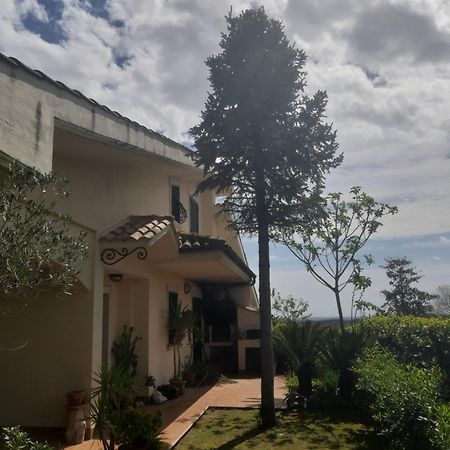 Affittacamere Parco Azzurro Colle Verde Luaran gambar